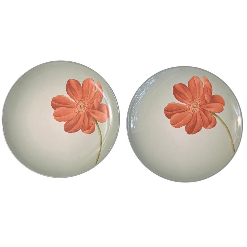 Noritake Colorwave Orange Poppy Stoneware Sage Salad Plates Vintage Set of 2